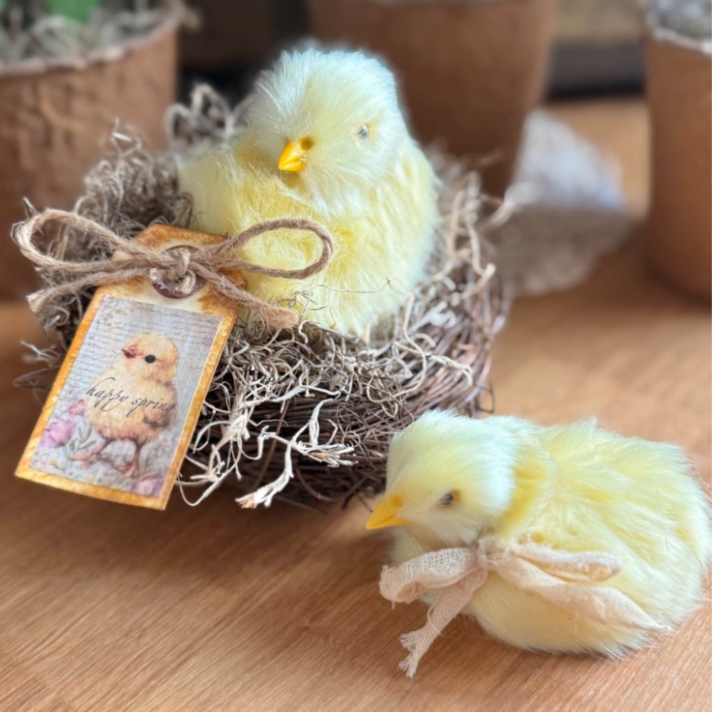 Easter Baby Chicks Spring Decor Set